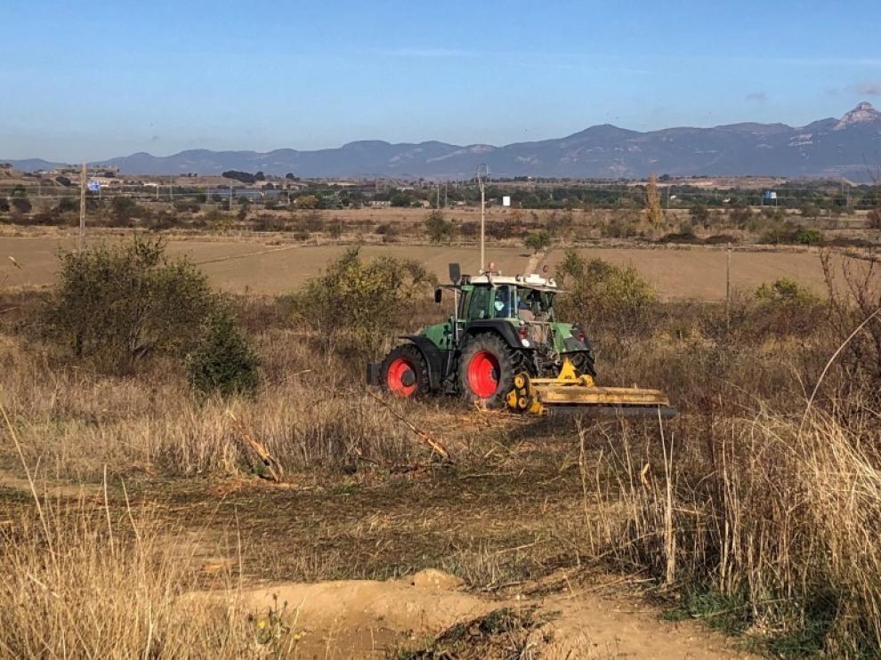 Inicio de la repoblación en el cerro de San Jorge de Huesca