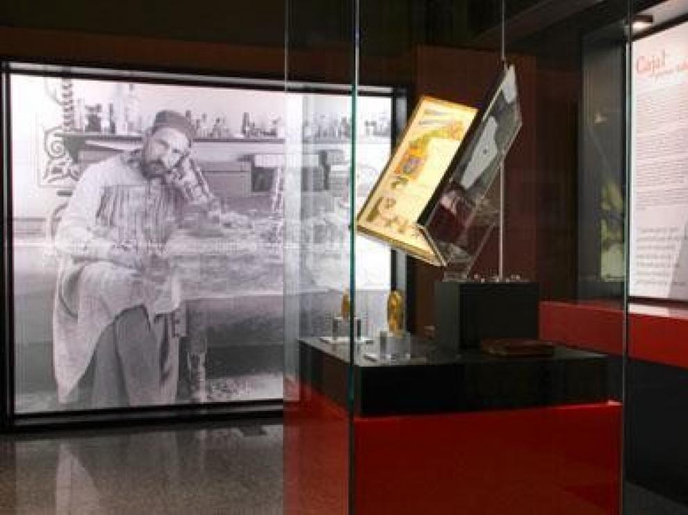 El CSIC exhibe parte del legado del Premio Nobel Ramón y Cajal