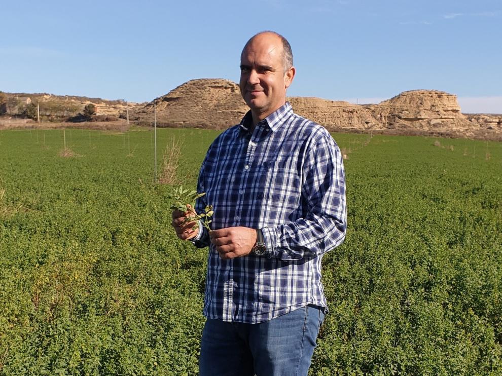 Robert Jaimejuan, responsable del sector en COAG, defenderá los intereses de los 120.000 productores europeos de forraje
