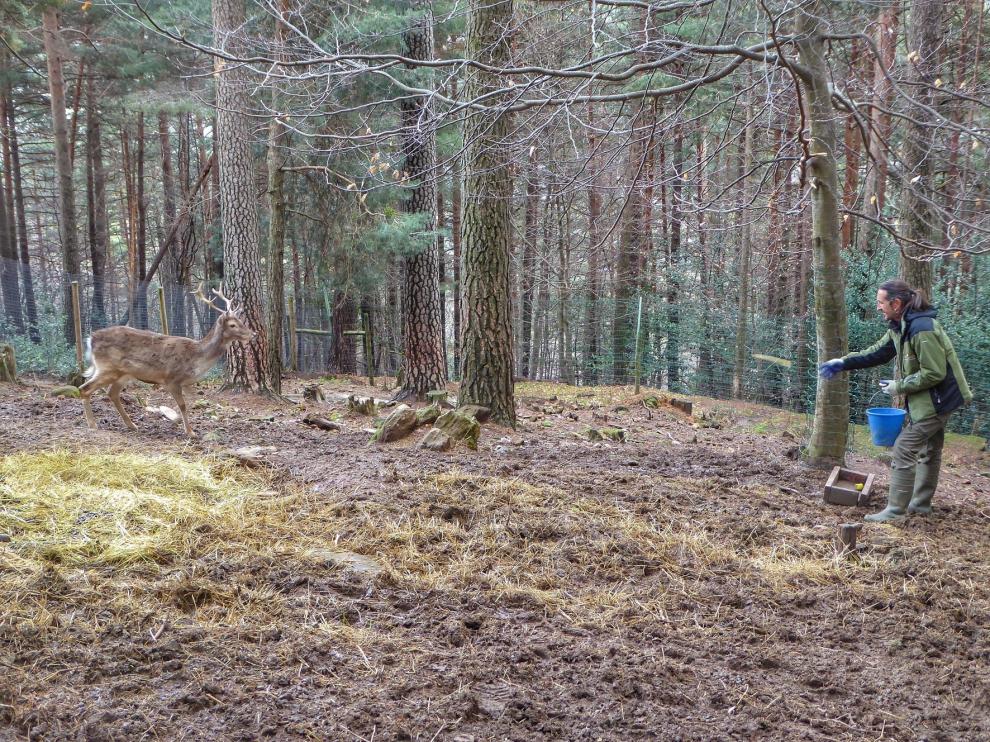 El Gobierno de Aragón colabora con Lacuniacha en la conservación de la fauna amenazada