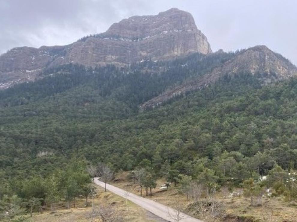 Jaca recibe el proyecto de ordenación forestal del monte Oroel