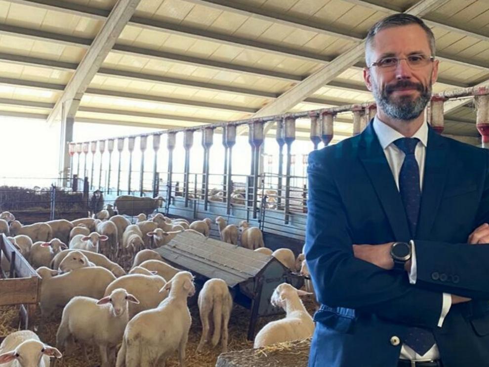 Rubén Artieda: "La pandemia ha servido para poner más en valor al sector"