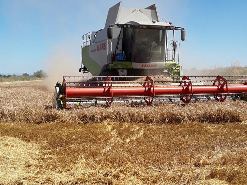 Aragón abona a los agricultores aragoneses 123,7 millones de euros de la PAC