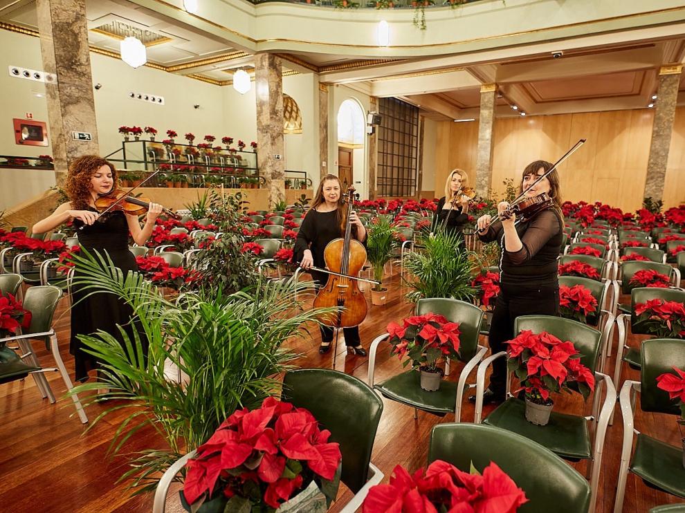 Un concierto para plantas bendice con su música a centros sanitarios y asistenciales
