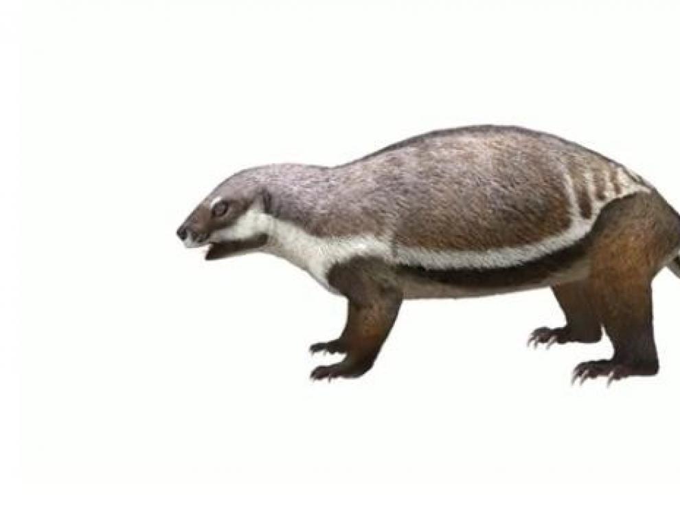Describen un mamífero de 66 millones de años que vivió entre dinosaurios