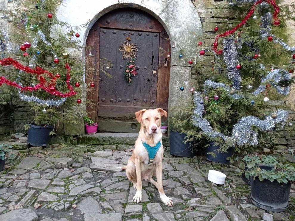 Feliz Navidad desde Susín