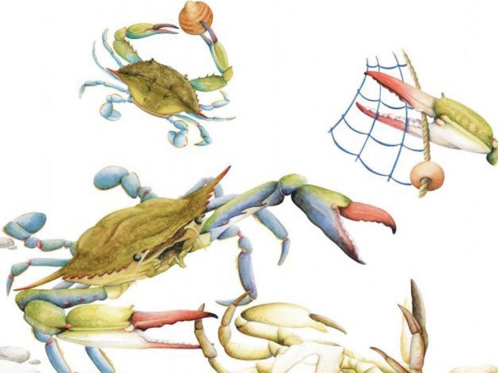 Especies invasoras "posan" en un calendario para concienciar del daño que provocan
