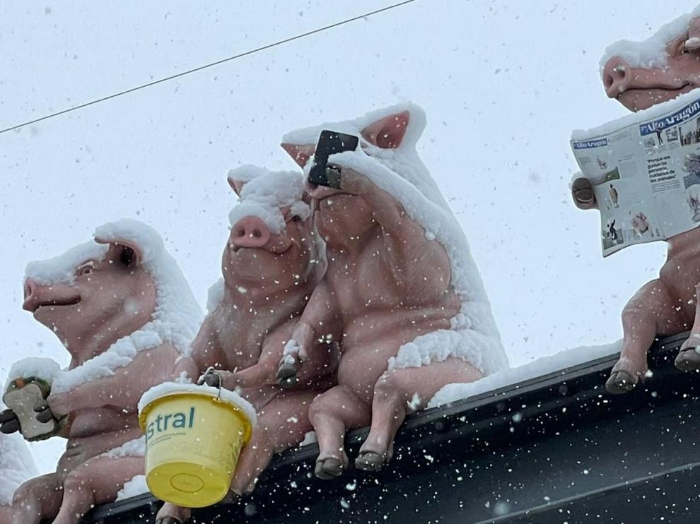 El Diario en día de nieve