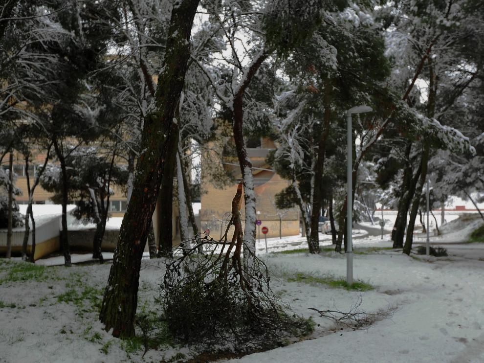 El Ayuntamiento de Huesca cierra finalmente todos los parques y zonas arboladas de la ciudad