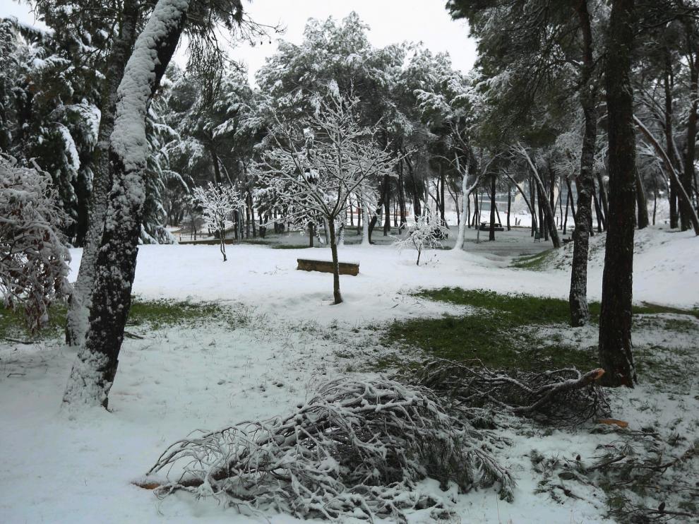 Segunda jornada con nieve por la presencia de Filomena en la provincia de Huesca