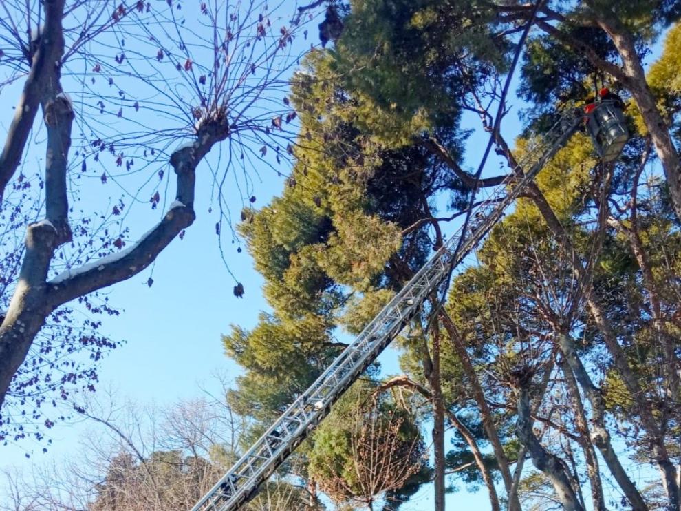 Continúan los trabajos de limpieza en Huesca tras el paso de Filomena