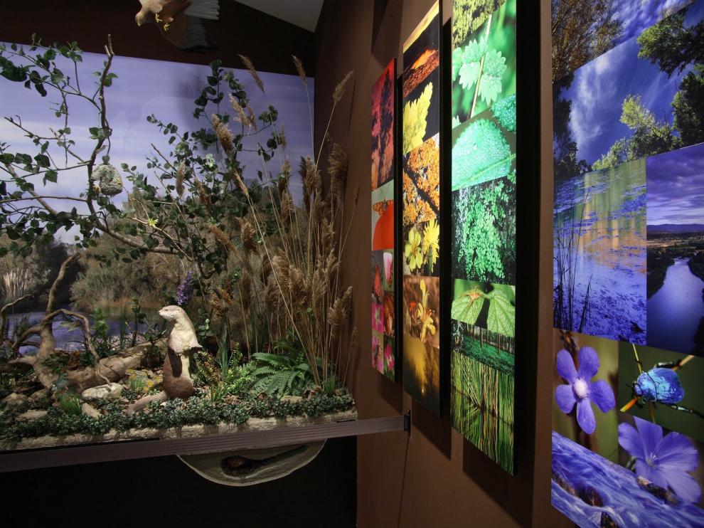 Un total de 1.390 visitantes pasaron por el centro de interpretación medioambiental del río Cinca