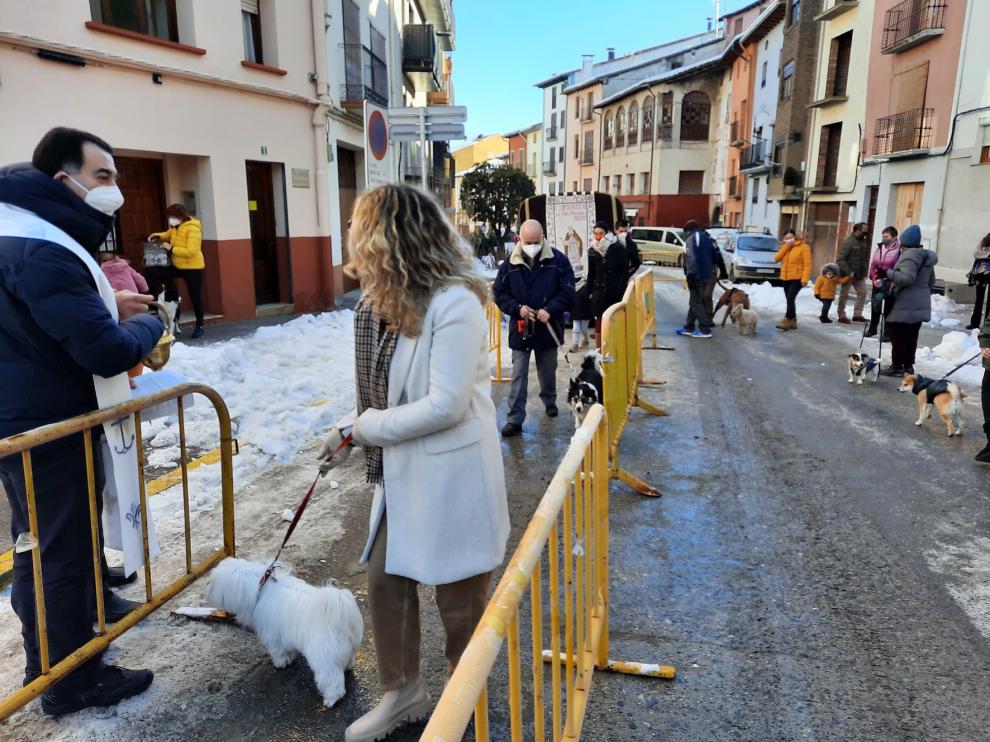 Graus celebra una festividad de San Antón "recortada"