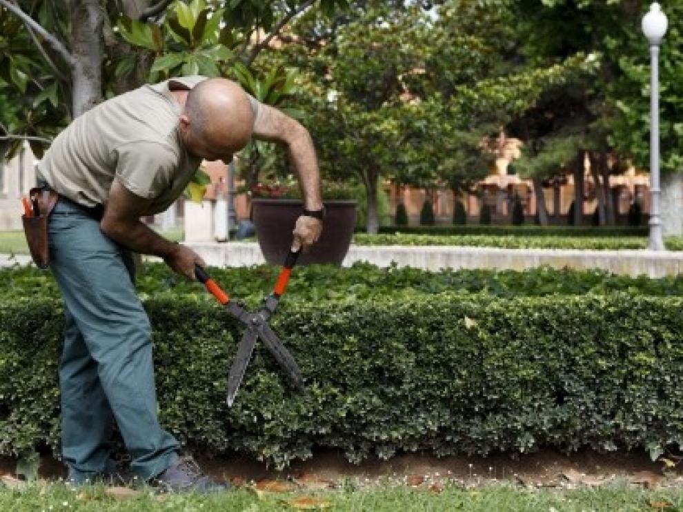 El INAEM destina 4,5 millones de euros a fomentar la integración laboral de las personas con discapacidad