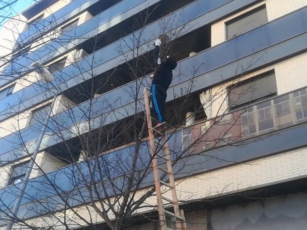 Todo por un gato