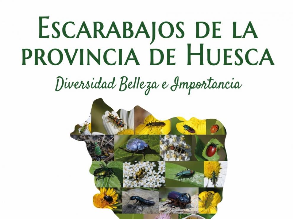 Una guía descubre los escarabajos de la provincia de Huesca