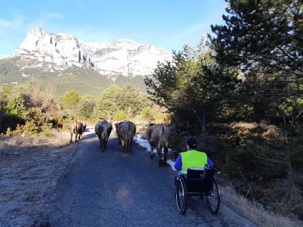 Beatriz Broto: De vaquera con un dron desde una silla de ruedas por los campos de Sobrarbe
