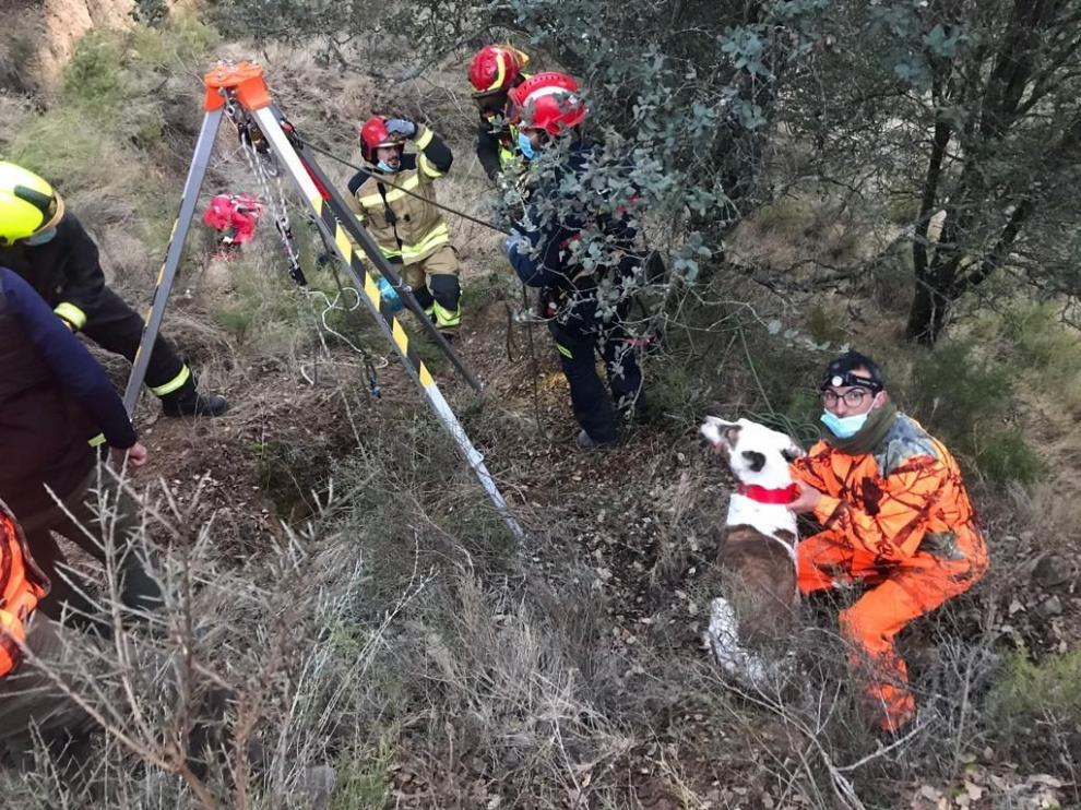 Rescatado un podenco que participaba en una batida en Secastilla tras una caída de diez metros