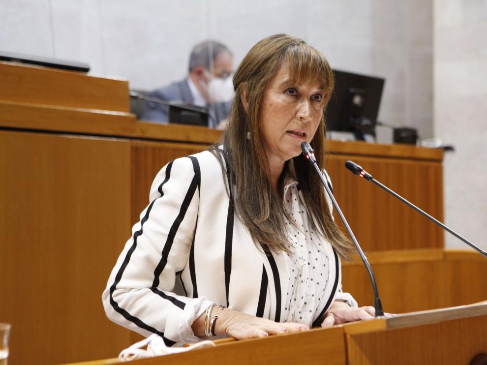 Repollés descarta test masivos y que las farmacias hagan pruebas de antígenos