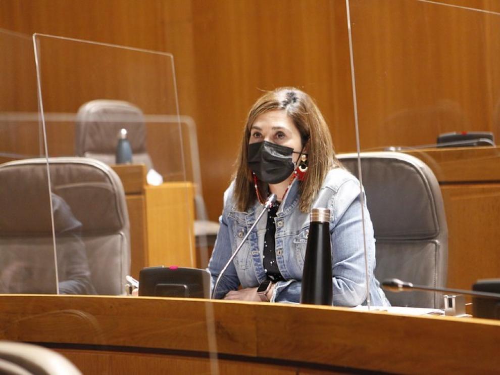 Ciudadanos pide desarrollar un Plan de Cuidados Paliativos de Aragón en un plazo de 6 meses