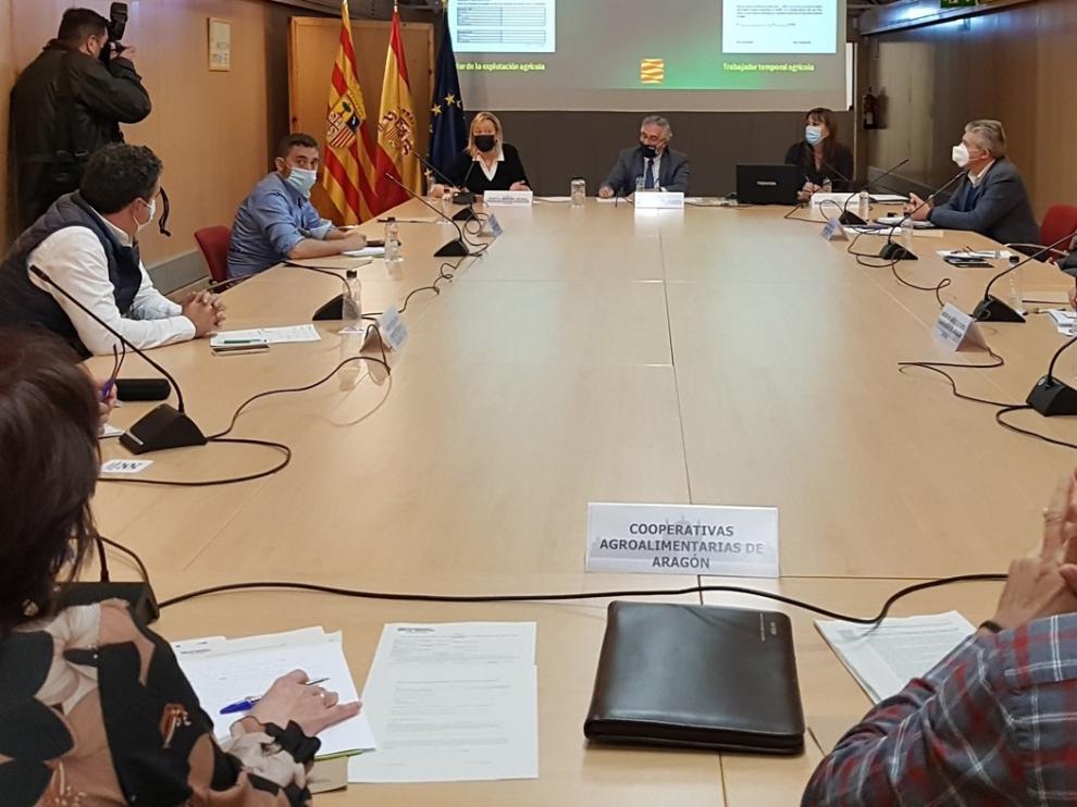 Esfuerzo común para que la recogida de fruta sea "ejemplar"