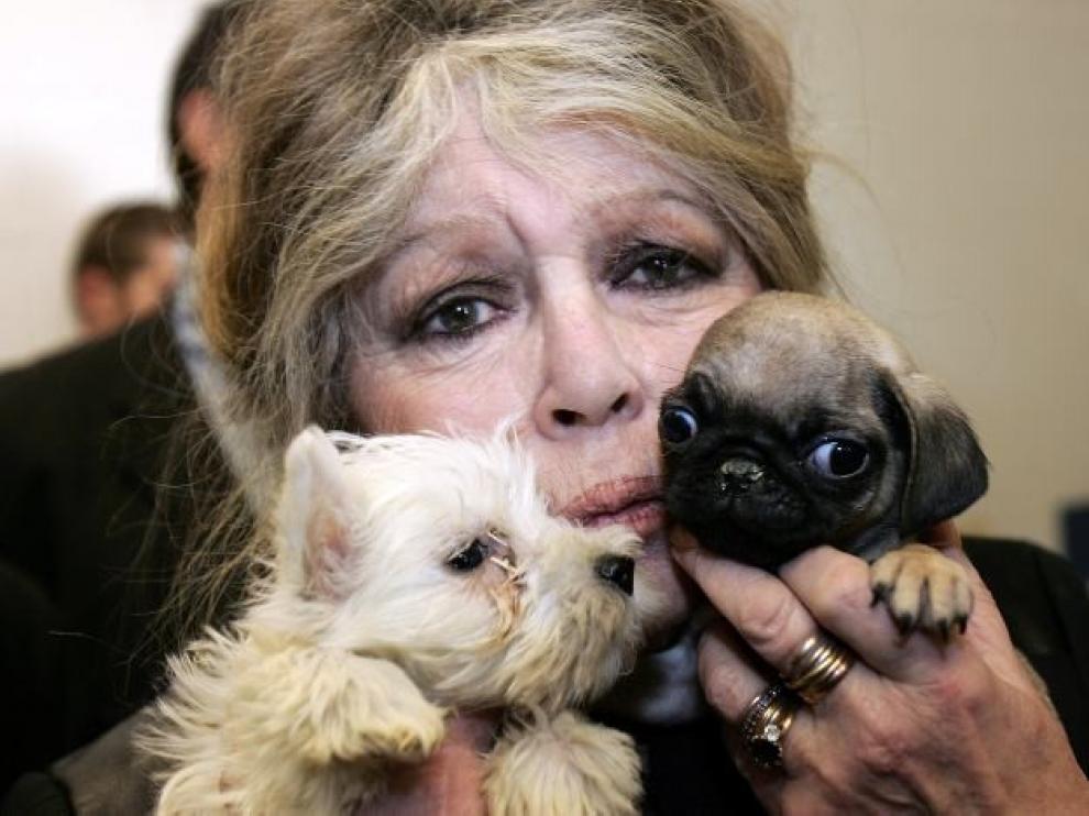 Brigitte Bardot pide apoyo al estado francés para ayudar a más animales