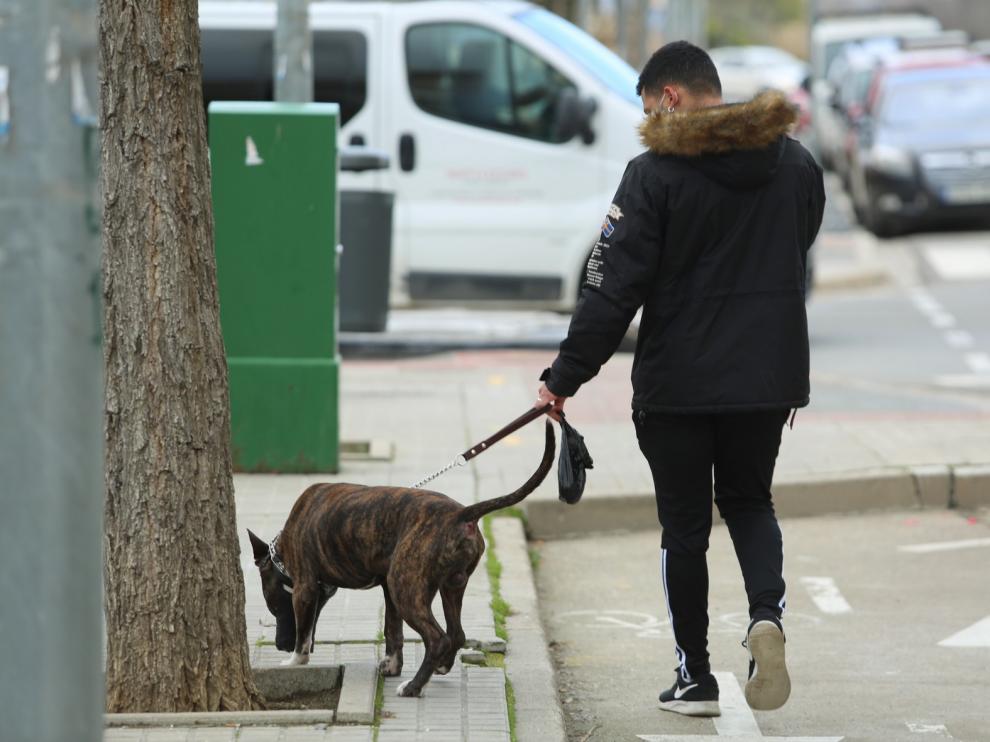 Una multa en 2019 por no recoger las heces caninas en Huesca