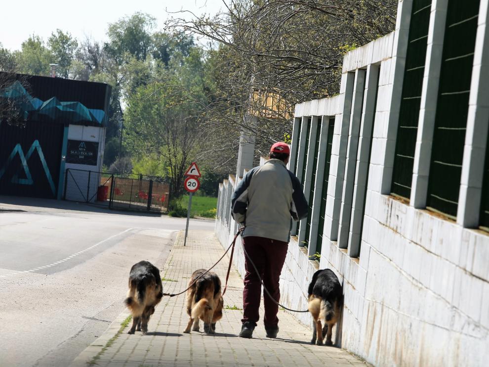 RV: paseo perros