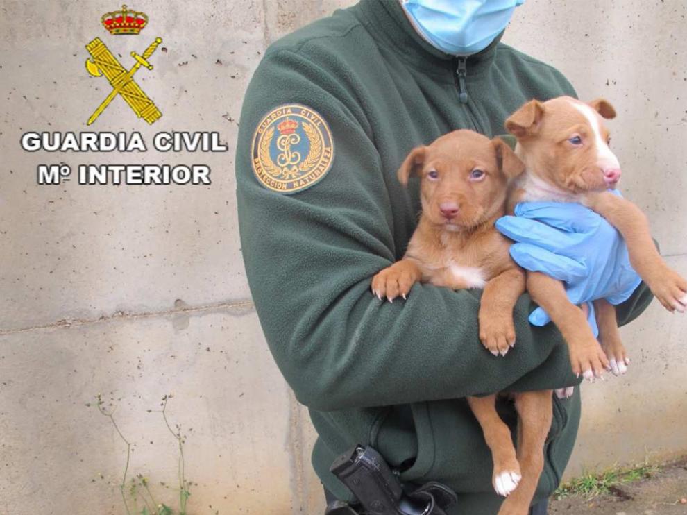 Imagen difundida por la Guardia Civil.