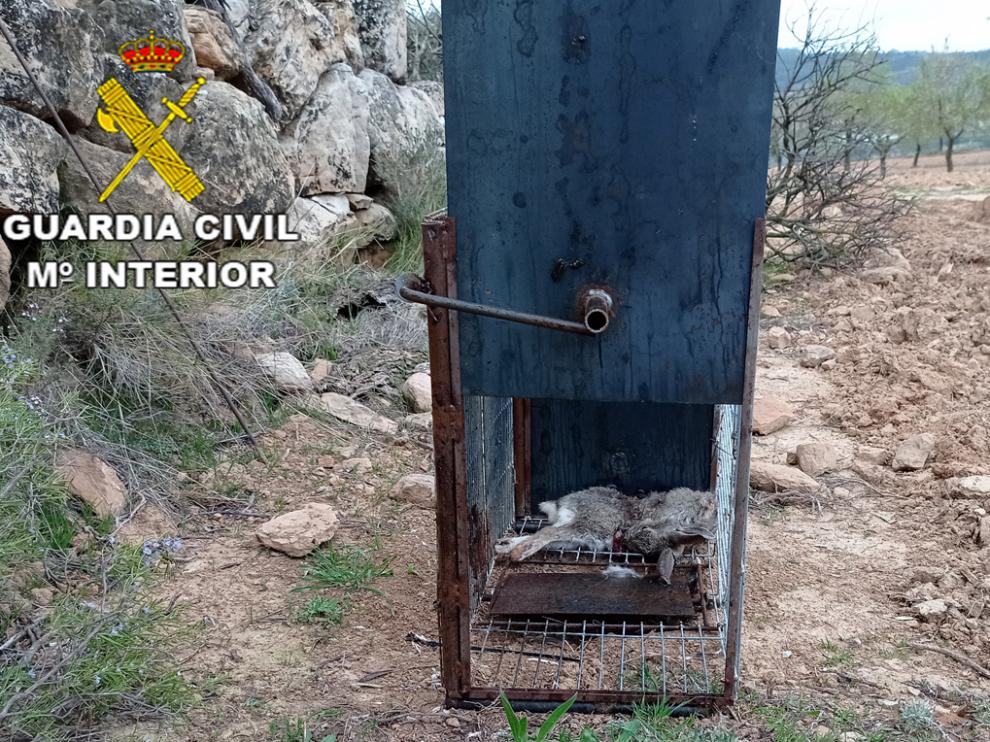 Imagen facilitada por la Guardia Civil de Teruel
