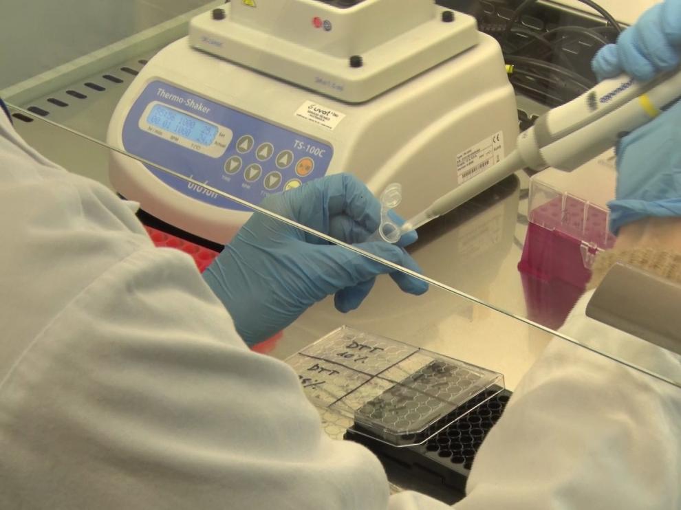 Test para detectar el coronavirus.