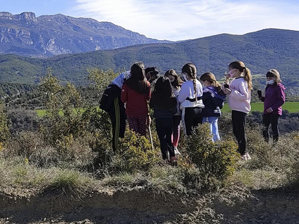 Los escolares reciben explicaciones en La Serreta, con la Peña Montañesa al fondo.