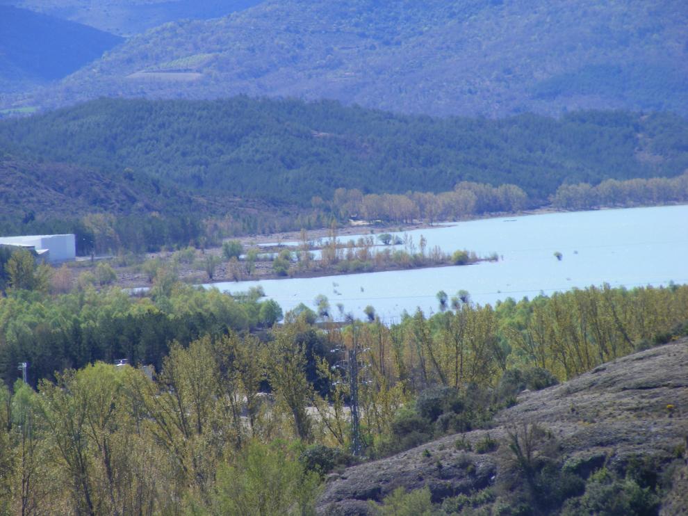 Barasona