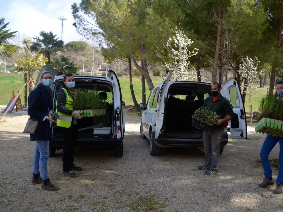 Entrega de árboles al Grupo Ecologista.