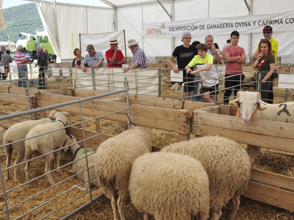 Expoforga propone celebrar su feria de manera virtual.