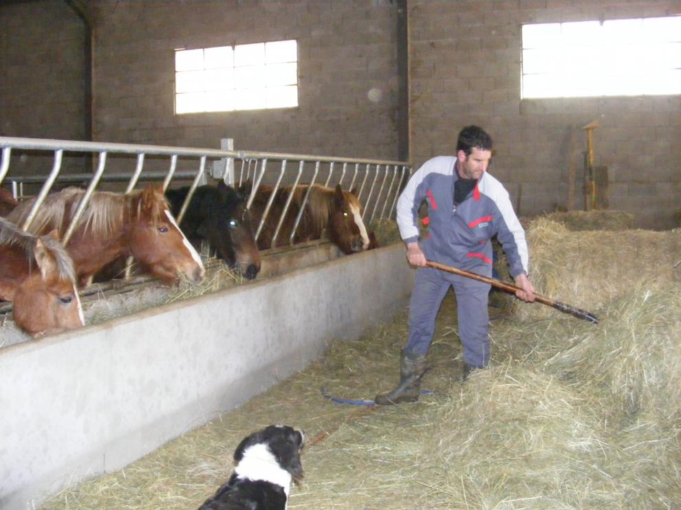 David Belío en su explotación de equino en Arguisal.