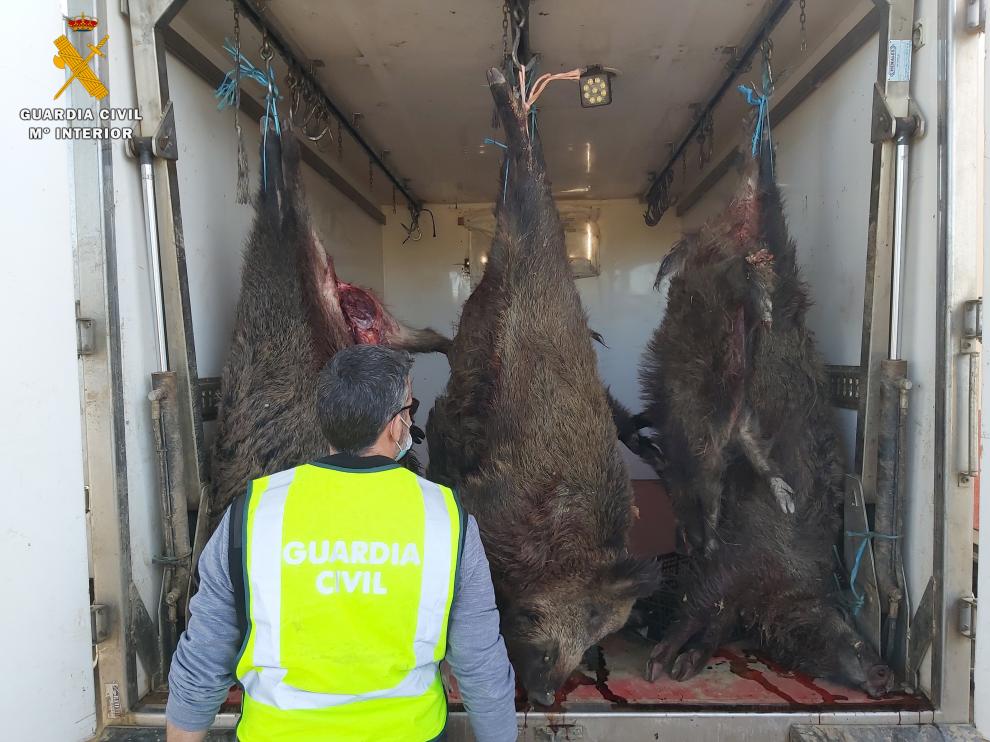 Imagen de la operación del Seprona.