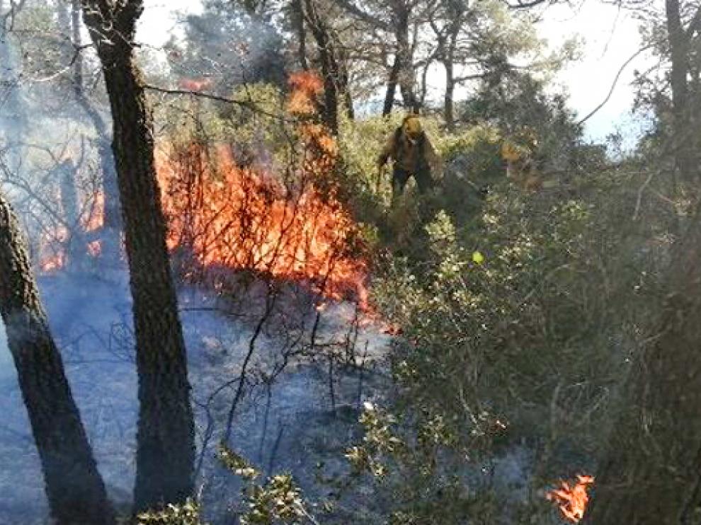 Incendio forestal.