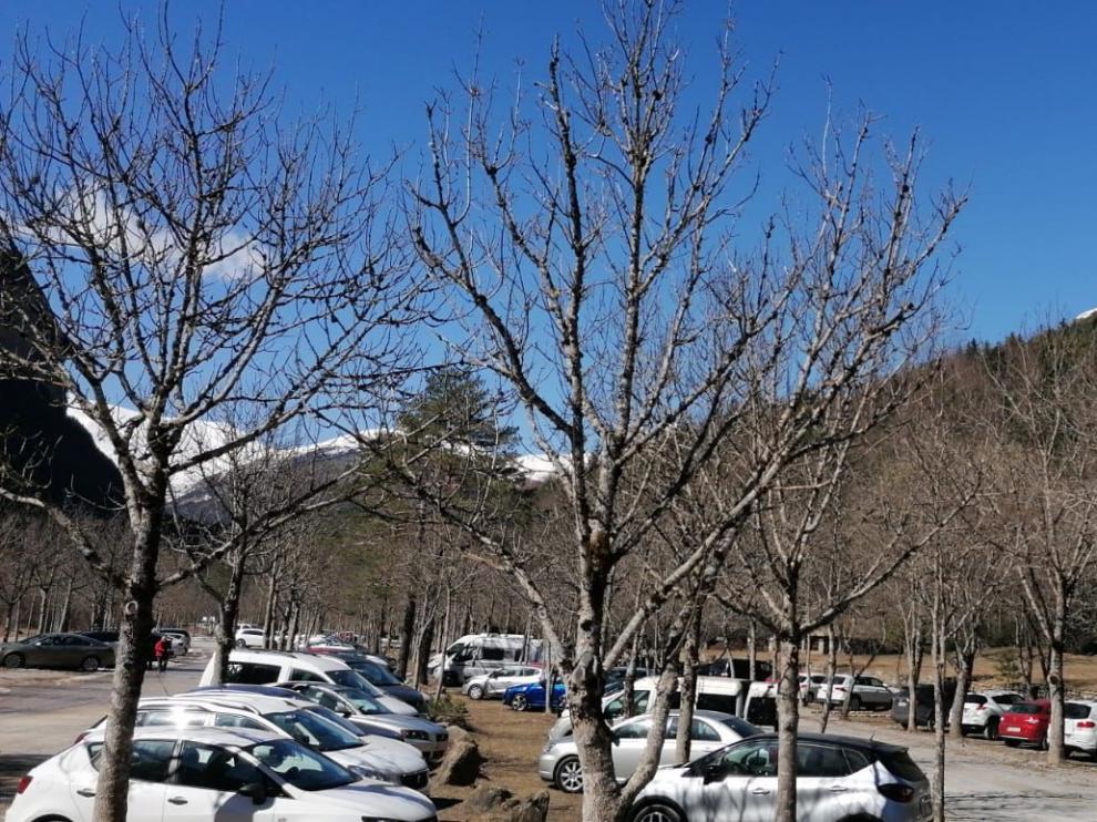 Vehículos en la pradera de Ordesa el fin de semana pasado