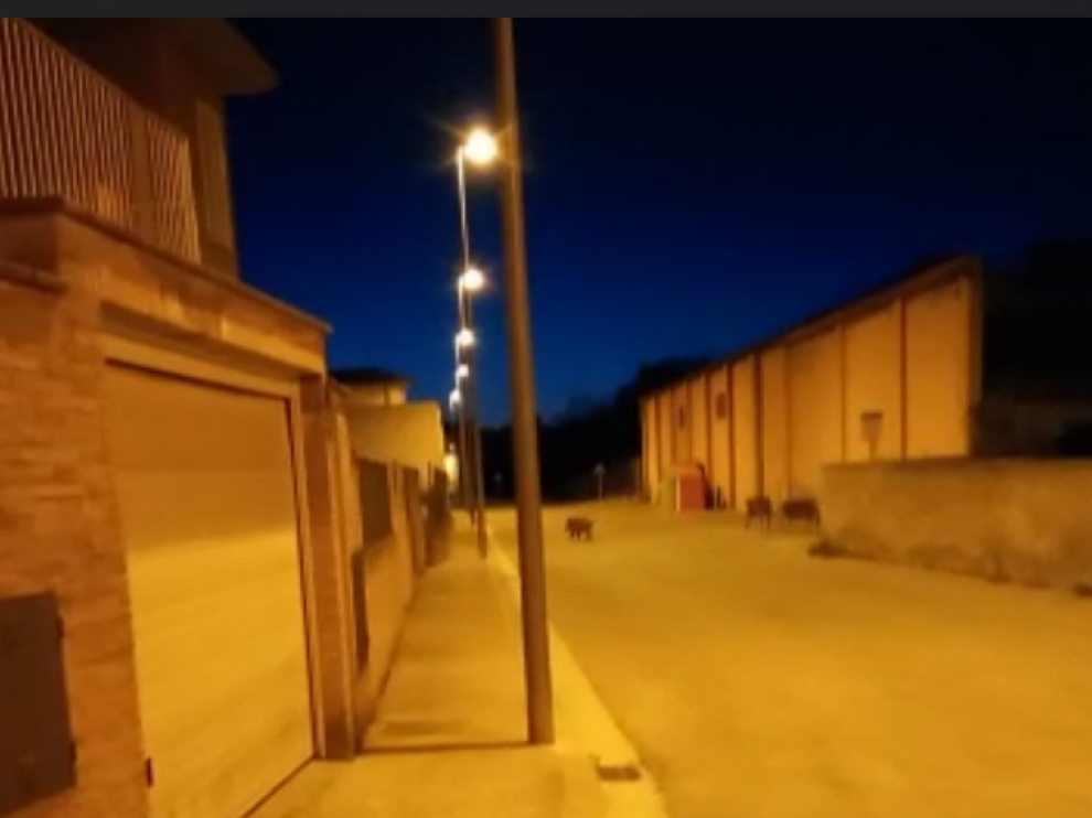 Imagen captada del vídeo que se ha hecho viral.