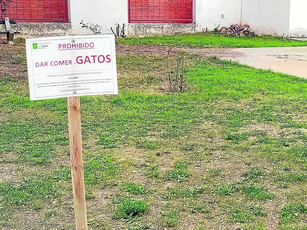 Imagen del cartel puesto por el ayuntamiento de Huesca