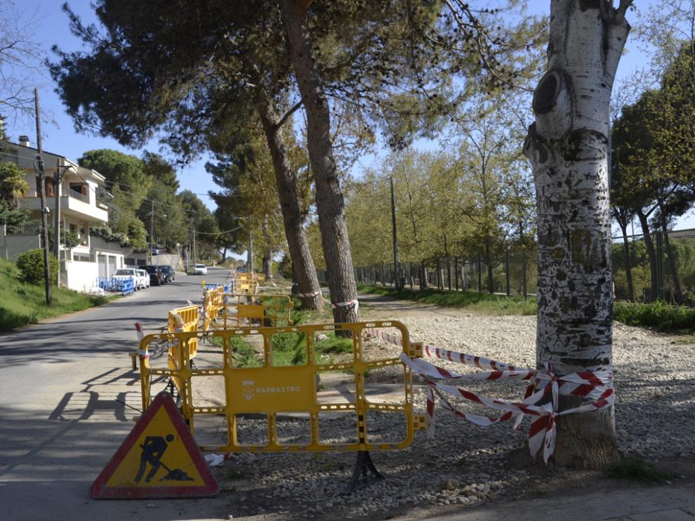 Paseo de los Pinos de Barbastro