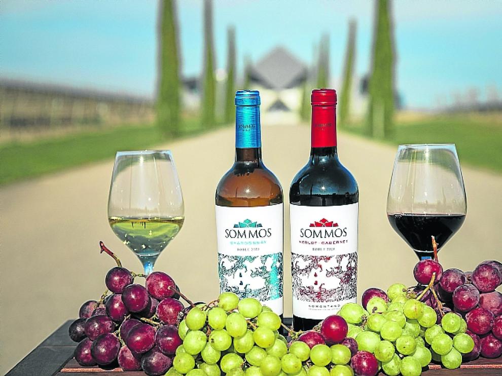 Sommos Chardonnay y Merlot-Cabernet.