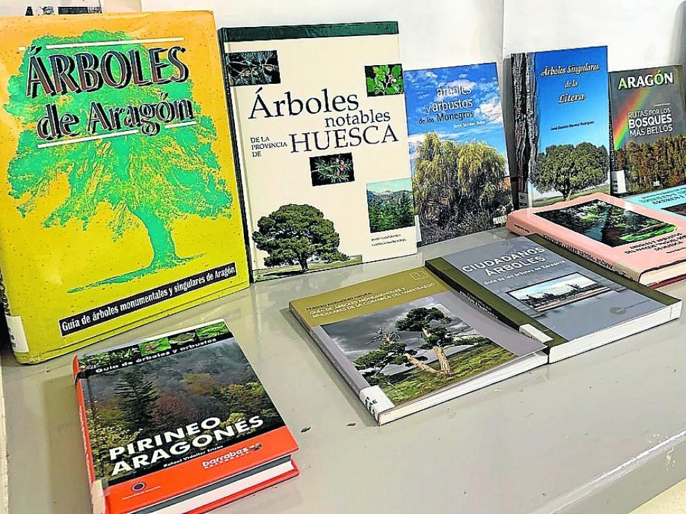 Algunos de los libros sobre árboles que se pueden consultar o pedir en préstamo en el IEA.