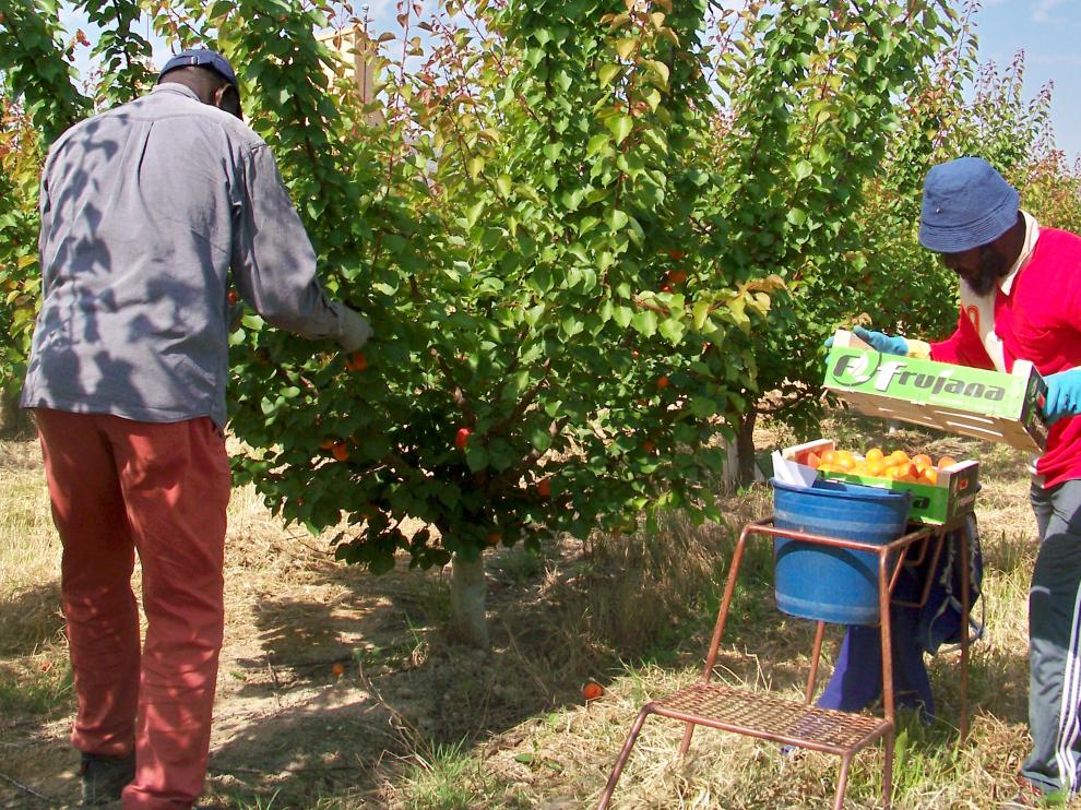 El Gobierno busca coordinación en la campaña agrícola