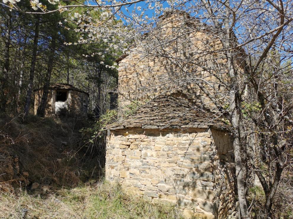 Luparuelo.