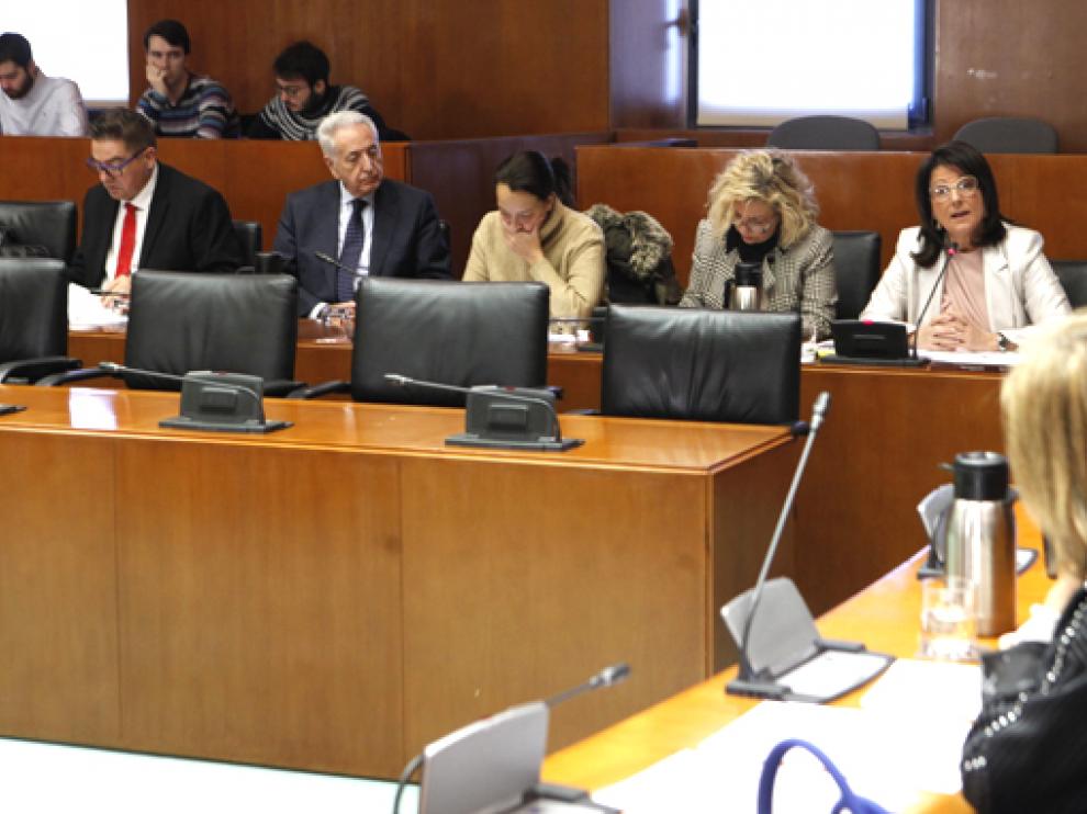 Comisión de Sanidad del Parlamento aragonés