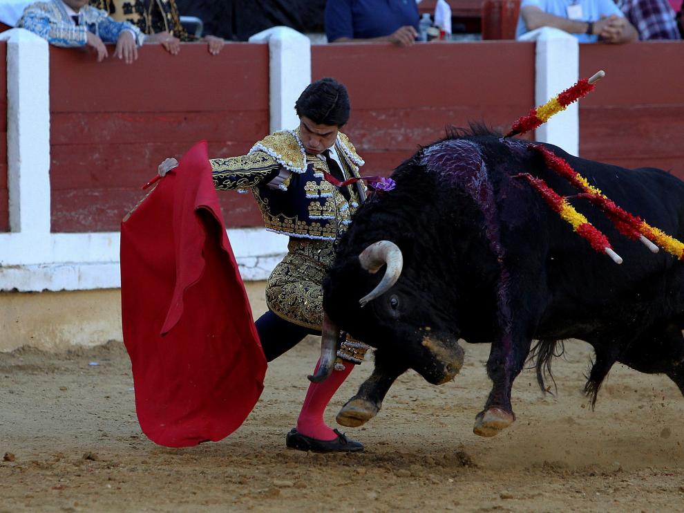 toros
