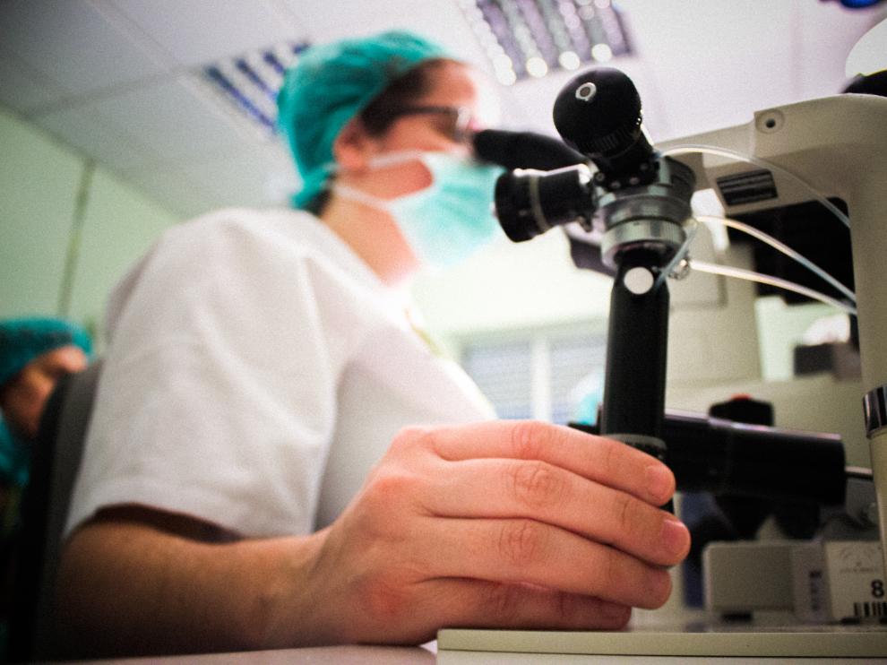 Investigación contra el cáncer con ARN mensajero