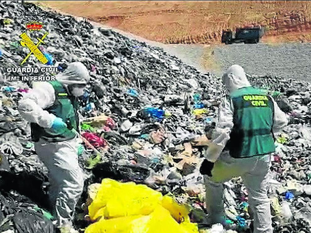 El Seprona investigó en 2020 más de 130.000 infracciones higiénico-sanitarias.